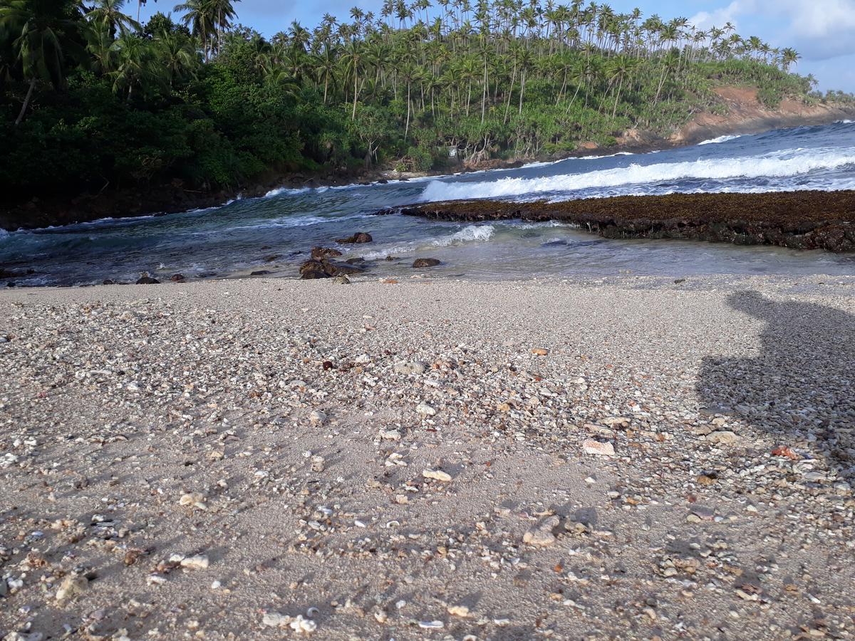 Sea Shine Beach Resort Mirissa Kültér fotó