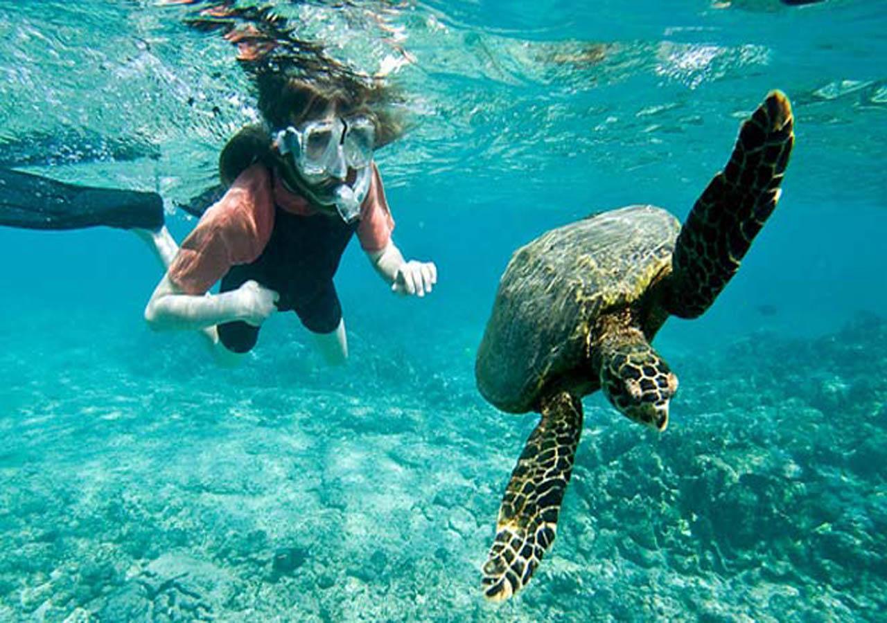 Sea Shine Beach Resort Mirissa Kültér fotó